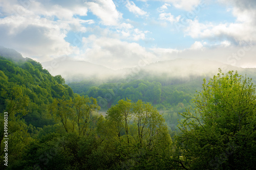 fog and mist above the forest. beautiful morning nature in mountains. landscape with clouds on the sky at sunrise. tranquil wonderland in summer