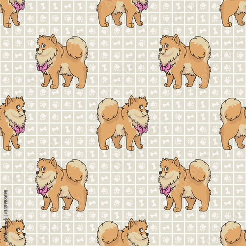 Hand drawn cute pomeranian breed dog with pink bow seamless vector pattern. Purebred pedigree domestic dog on paw background. Dog lover spitz pet all over print. Kennel pooch. EPS 10. 