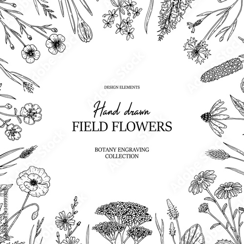 Hand drawn summer wild flowers frame. Vector illustration in sketch stile