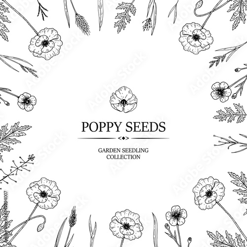 Poppy seeds design. Hand drawn summer wild flowers frame. Vector illustration in sketch stile