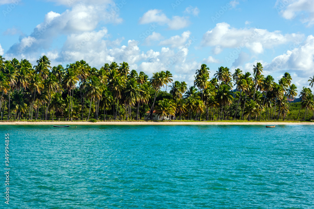 Obraz premium Coconut trees on the beach for summer vacation concept