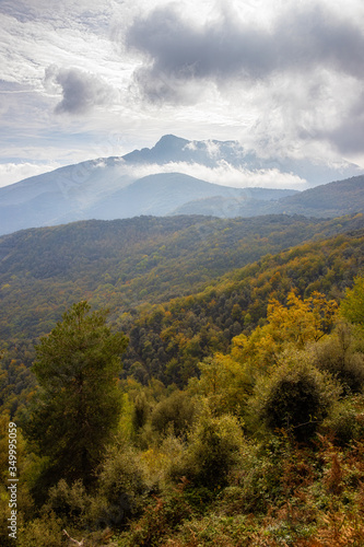 Autumn picture from Spanish mountain Montseny  near Santa fe del Montseny  Catalonia