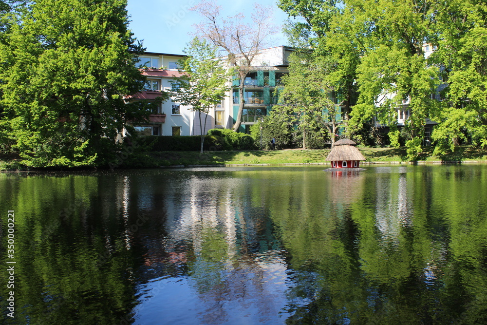 a birds home in middle of lake with amazing reflection of trees on water in Bremen/Germany , 06.05.2020