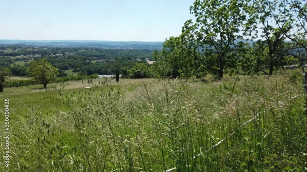 Allassac (Corrèze, France) - Les Trois villages - Vue depuis le village de Gauch sur la vallée de la Vézère et les champs de pommiers Allassac (Corrèze, France) - Les Trois villages - Vue depuis le village de Gauch sur la vallée de la Vézère et les champs de pommiers