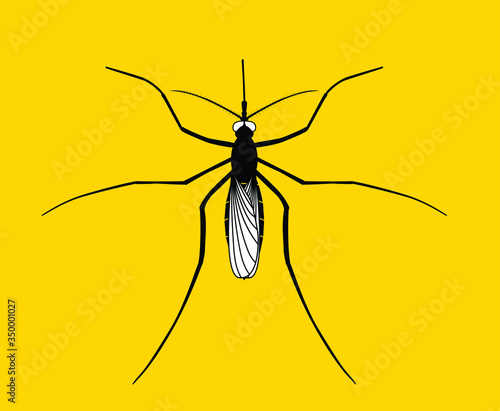 Realistic mosquito on yellow background, insect closeup, vector illustration, top view.