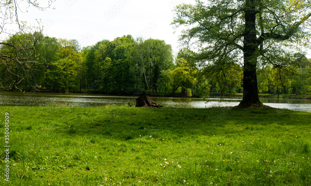 A pond surrounded by trees in the Świerklaniec park. A free entry space A pond surrounded by trees in the Świerklaniec park. A free entry space