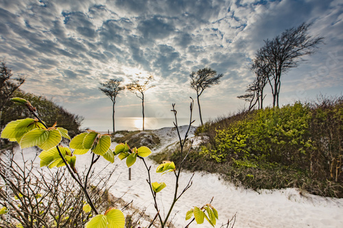 Fototapeta Naklejka Na Ścianę i Meble -  strand