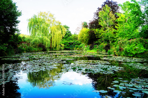 Fotografie, Obraz Pond with lilies in Giverny