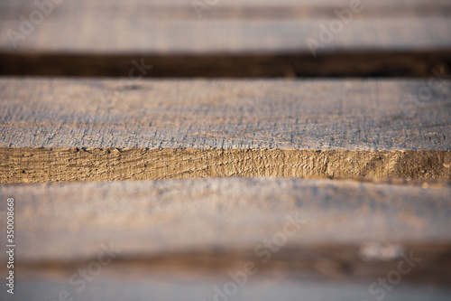 Texture of the tree background. natural old wood with a crack . Blank for design.