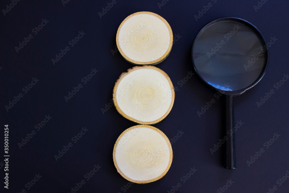 SEO, search engine optimization ranking concept, magnifying glass with three wooden circles for words or letters, the idea of promoting traffic to the site. SEO, search engine optimization ranking concept, magnifying glass with three wooden circles for words or letters, the idea of promoting traffic to the site.