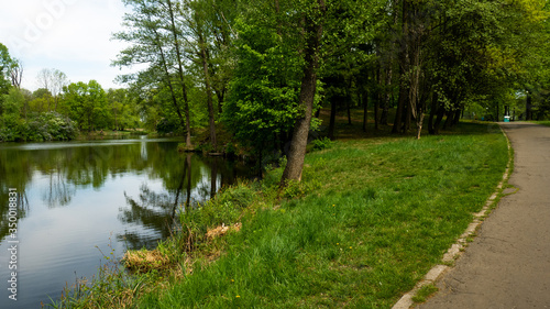 A pond surrounded by trees in the Świerklaniec park. A free entry space