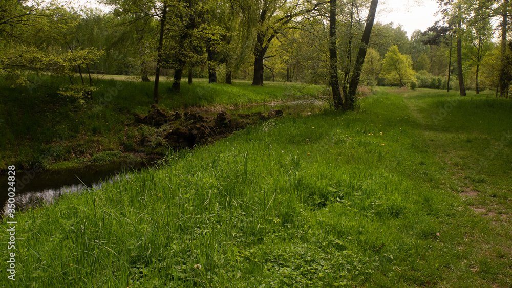 Beautiful views of the Świerklaniec Park. Ready for entry
Beautiful views of the Świerklaniec Park. Ready for entry