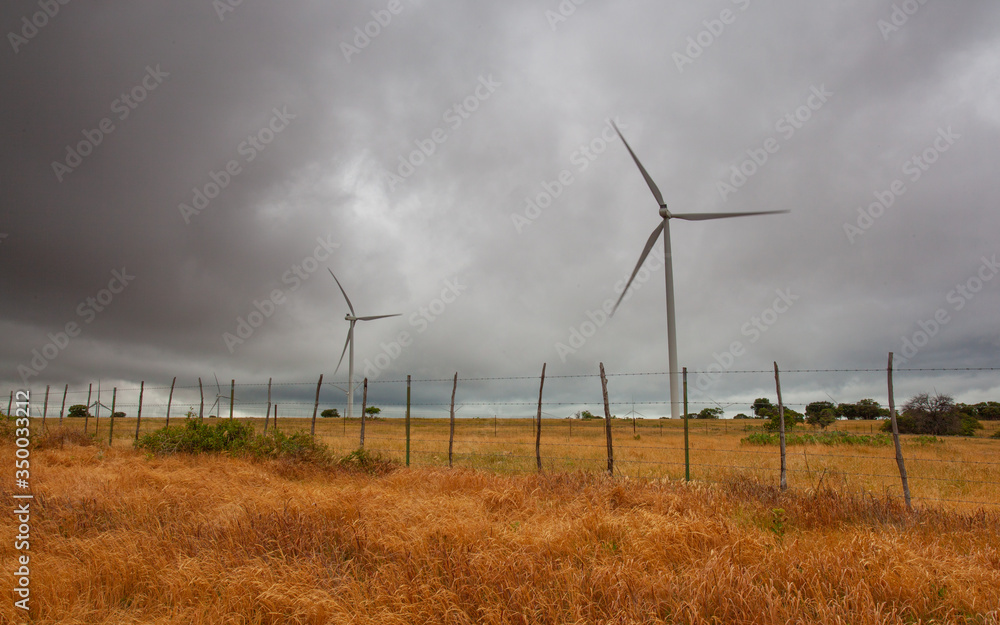 Obraz premium wind turbines in the field, power energy generator 