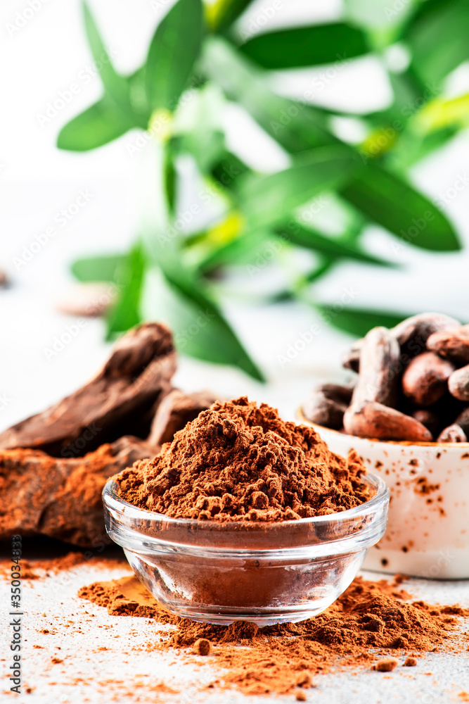 Organic cocoa powder, cocoa beans, grated cocoa lump on gray background. Copy space Organic cocoa powder, cocoa beans, grated cocoa lump on gray background. Copy space