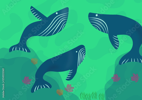 Whales