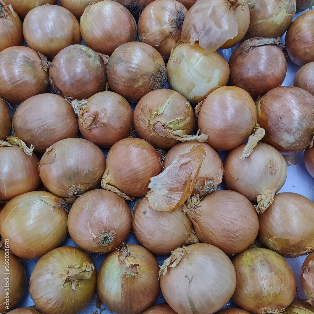 Onion (Allium cepa) also known as the bulb onion at supermarket. Vegetables background concept photo Onion (Allium cepa) also known as the bulb onion at supermarket. Vegetables background concept photo