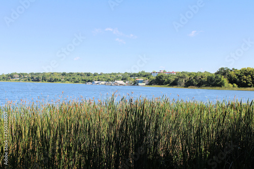 Calm lake scenic photos during summer with green trees and grass