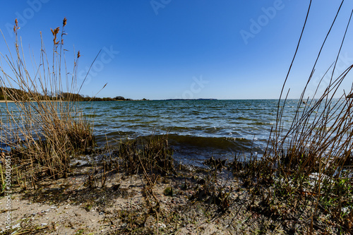 Naturstrand entlag der Goor  Lauterbach  Putbus  R  gen