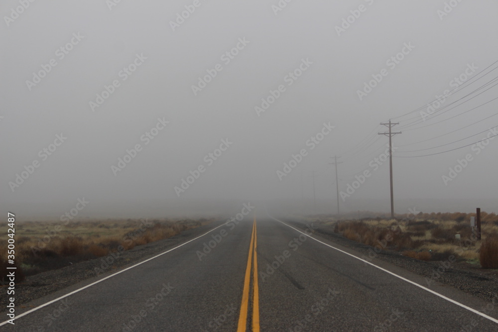 Misty road 
