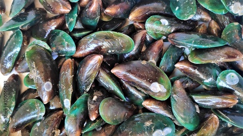 Photo of mussels. Not cleaned. Barnacle perched on the shells.Seafood in Thailand. Local food.