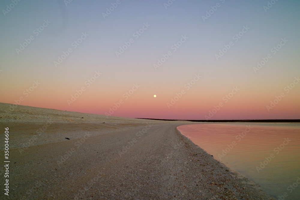 Shell Beach in Francois Peron National Park in  WA Australia                       