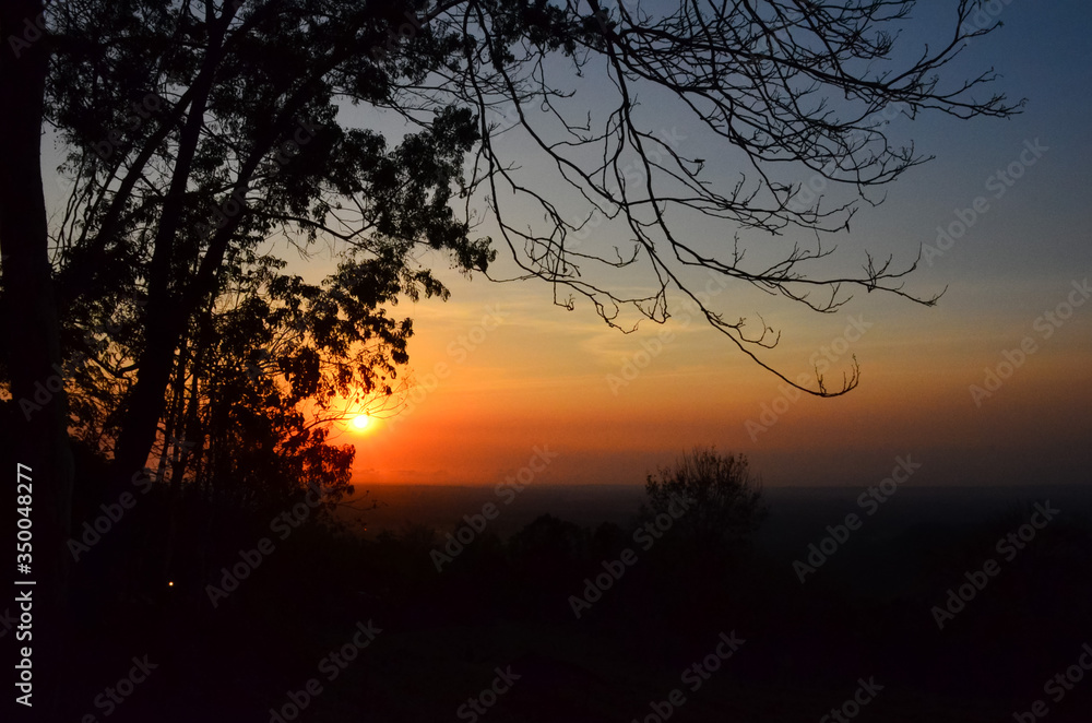 Beautiful silhouette of trees with sunset background Beautiful silhouette of trees with sunset background