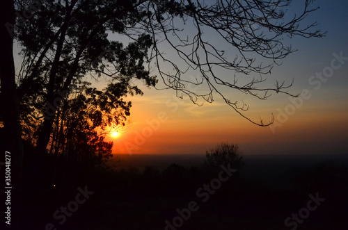 Beautiful silhouette of trees with sunset background