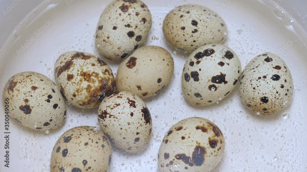 From above fresh quail eggs boiling in hot water in white metal saucepan on stove in kitchen From above fresh quail eggs boiling in hot water in white metal saucepan on stove in kitchen
