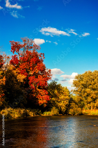 Bright colors of the fall near Credit River, Mississauga, Ontario, Canada