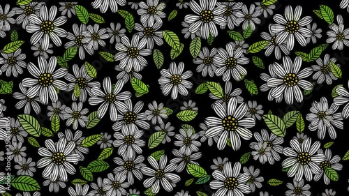 Saturated blooming daisies dark background vector animation