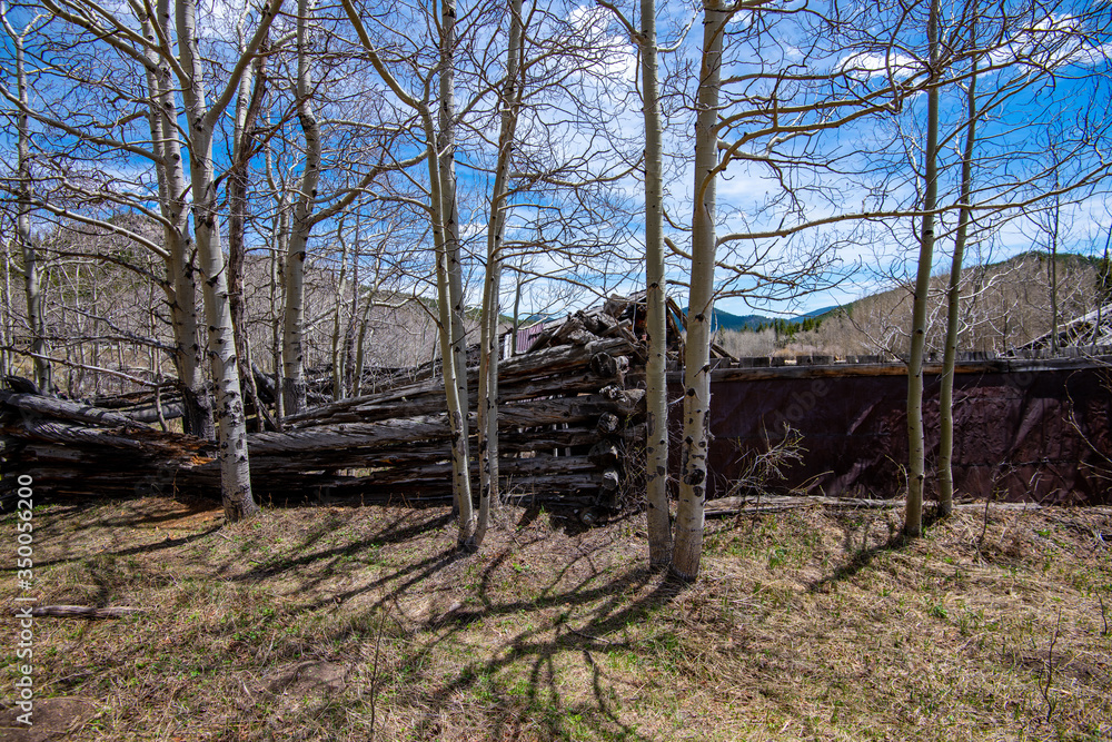 Fraser Cabin in the Meadow in Golden Gate State park