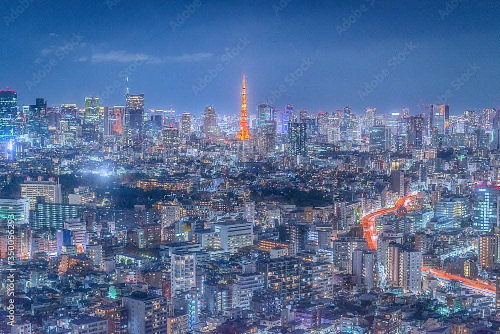 Fototapeta premium 恵比寿ガーデンプレイスからの夜景