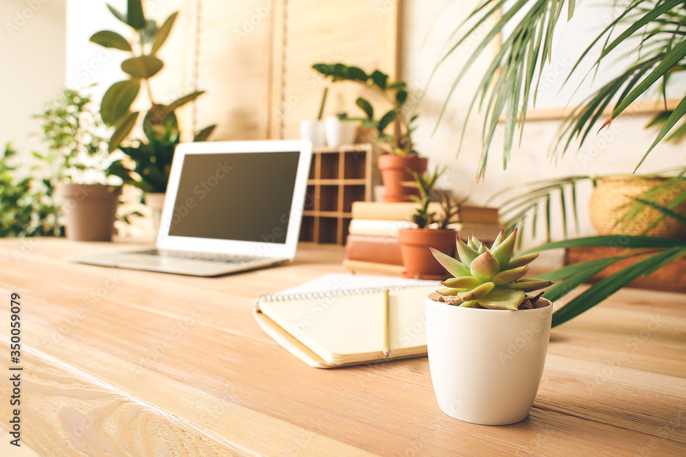 Fototapeta premium Comfortable workplace with modern laptop and green houseplants