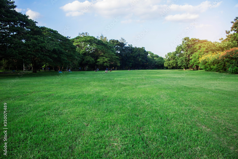 Green lawns in the park.