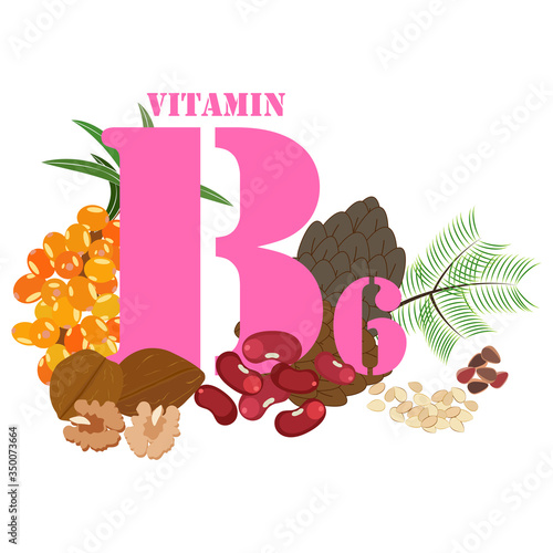 Vitamin B6 healthy nutrient rich food vector illustration