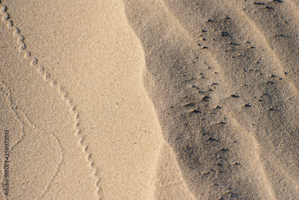 The pattern on the sand. The pattern on the sand.