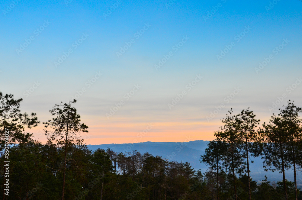 Beautiful sunset in a recreation park in a pine forest