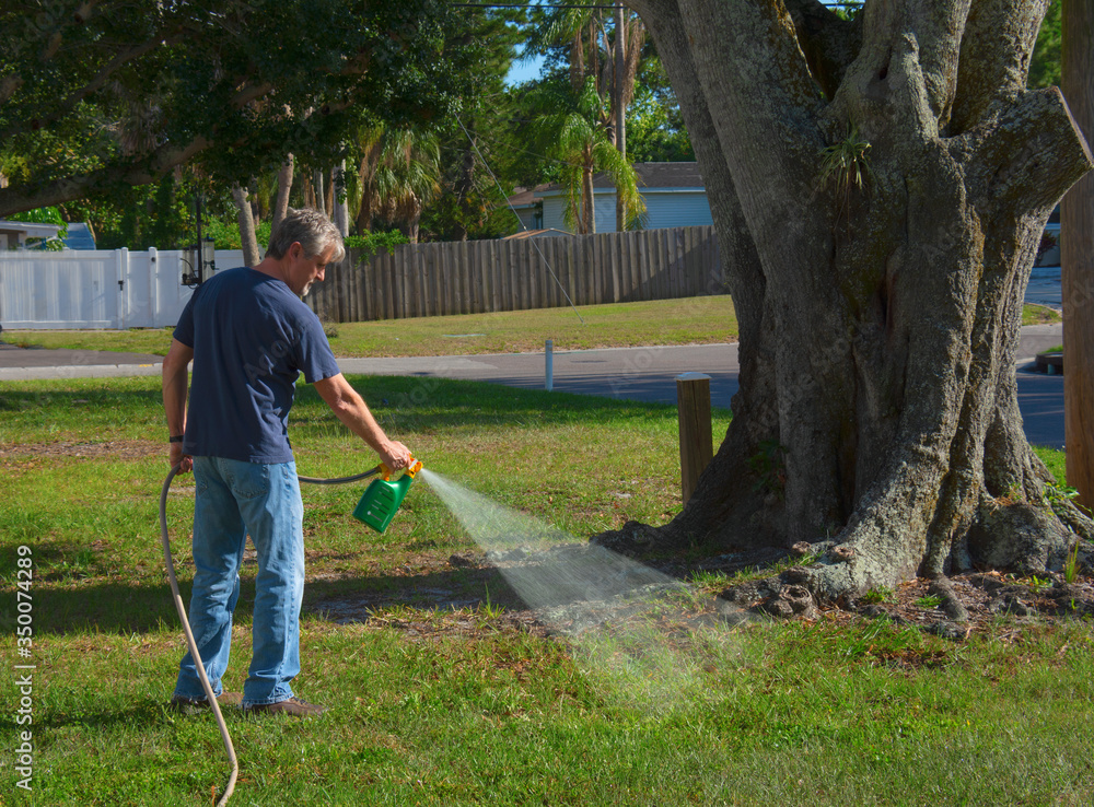 Homeowner man spraying weed killer on his front yard with a hose
