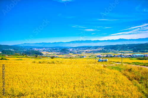 日本の秋の景色　里山の風景