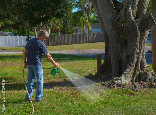 Photography Homeowner man spraying weed killer on his front yard with a hose attachment full of chemicals that kills weeds and fertilizes the grass