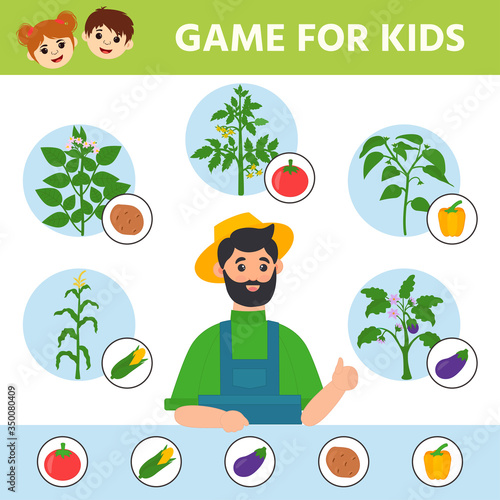 Education logic game for preschool kids. Kids activity sheet. Find the matching plant and vegetable. Vegetables: potato, tomato, corn, eggplant, pepper. Children funny riddle entertainment