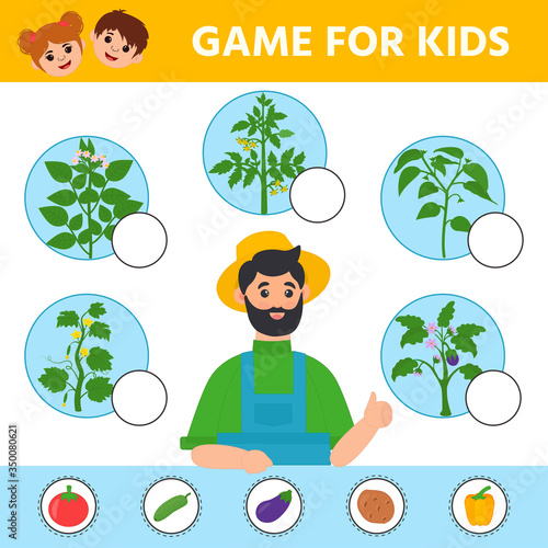 Education logic game for preschool kids. Kids activity sheet. Find the matching plant and vegetable. Vegetables: potato, tomato, cucumber, eggplant, pepper. Children funny riddle entertainment