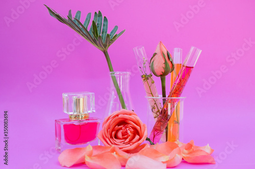 Essential oil in bottles extracted from rose