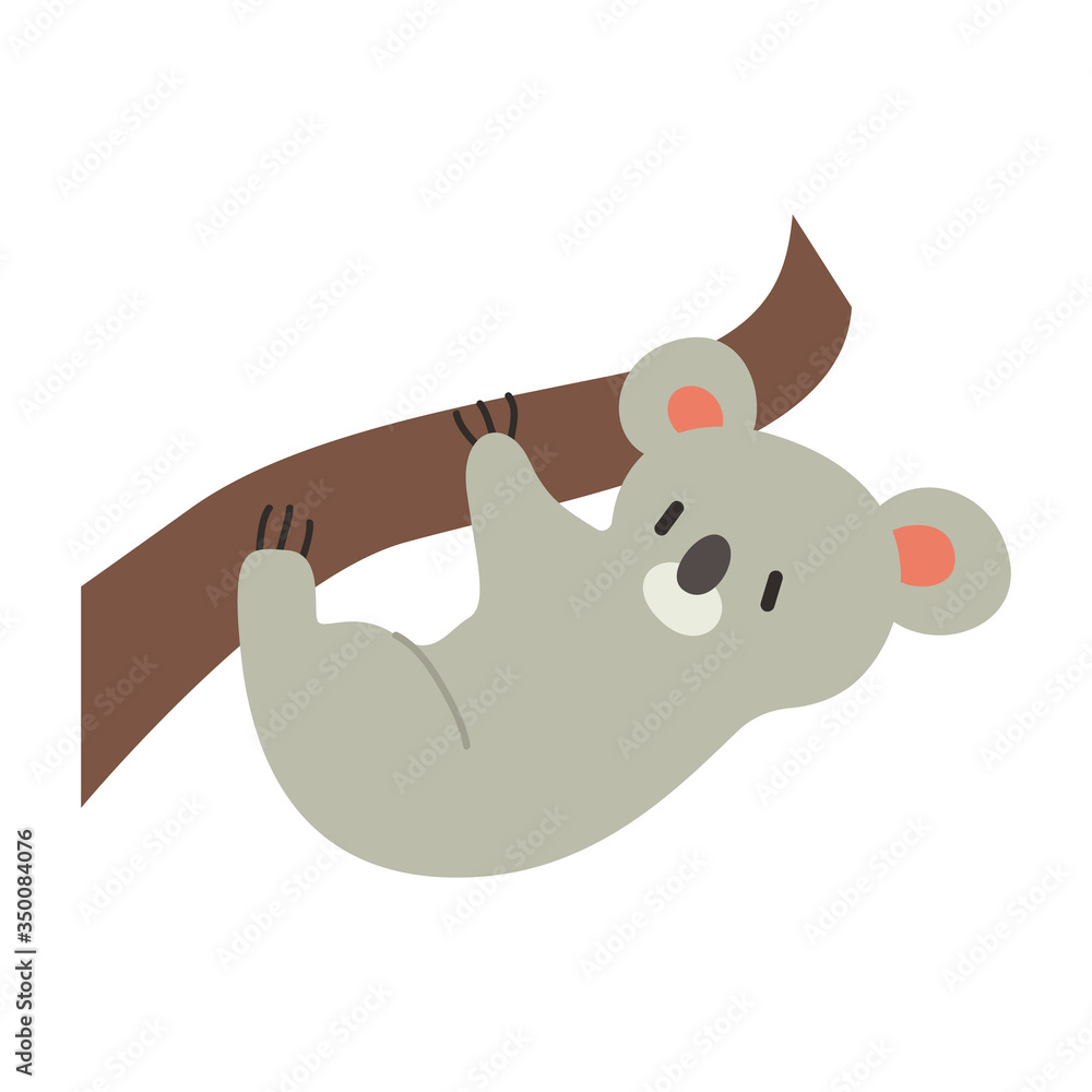 Fototapeta premium cute koala animal