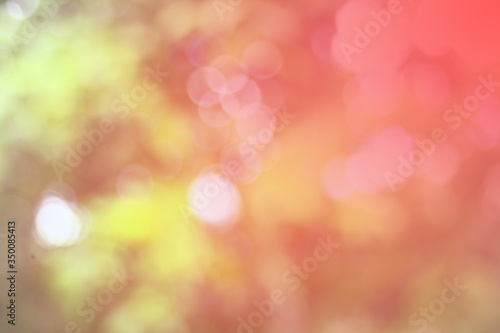 abstract red circle gradient on bright green bokeh background .For advertisement About the festival Valentines Day love or various shopping business