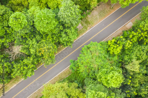 aerial view of road under forest © ChenPG