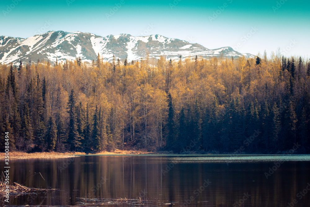 Favoring the warm values of spring in Alaska. Favoring the warm values of spring in Alaska.