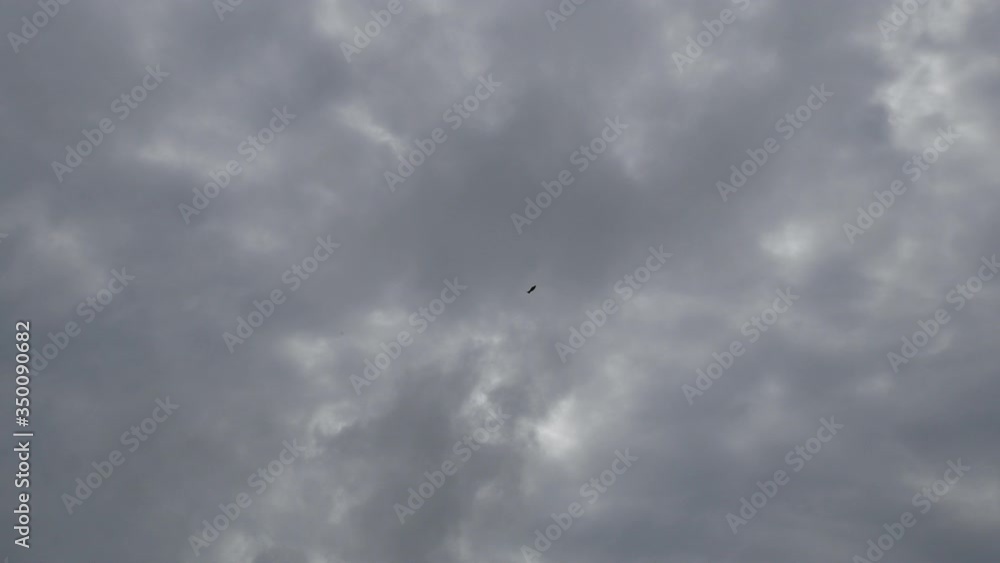 Black clouds form above the sky before exceeding the storm. Nature sky background. Black clouds form above the sky before exceeding the storm. Nature sky background.
