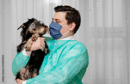 dog in safety glasses, unsanitary conditions, doctor holds in his hands dog that is sick with coronavirus,
