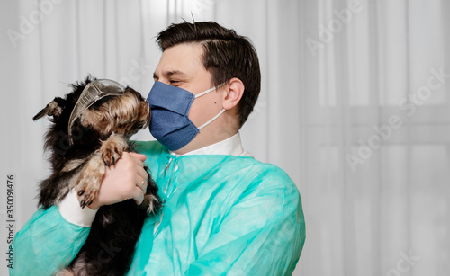 dog in safety glasses, unsanitary conditions, doctor holds in his hands dog that is sick with coronavirus,